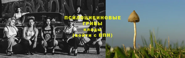 марки lsd Гусь-Хрустальный