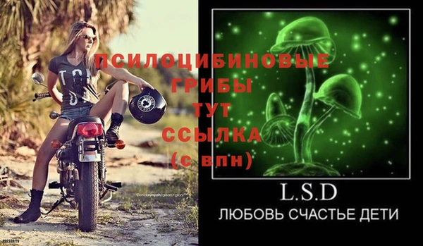 марки lsd Гусь-Хрустальный