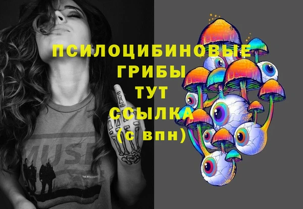 марки lsd Гусь-Хрустальный