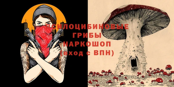 марки lsd Гусь-Хрустальный